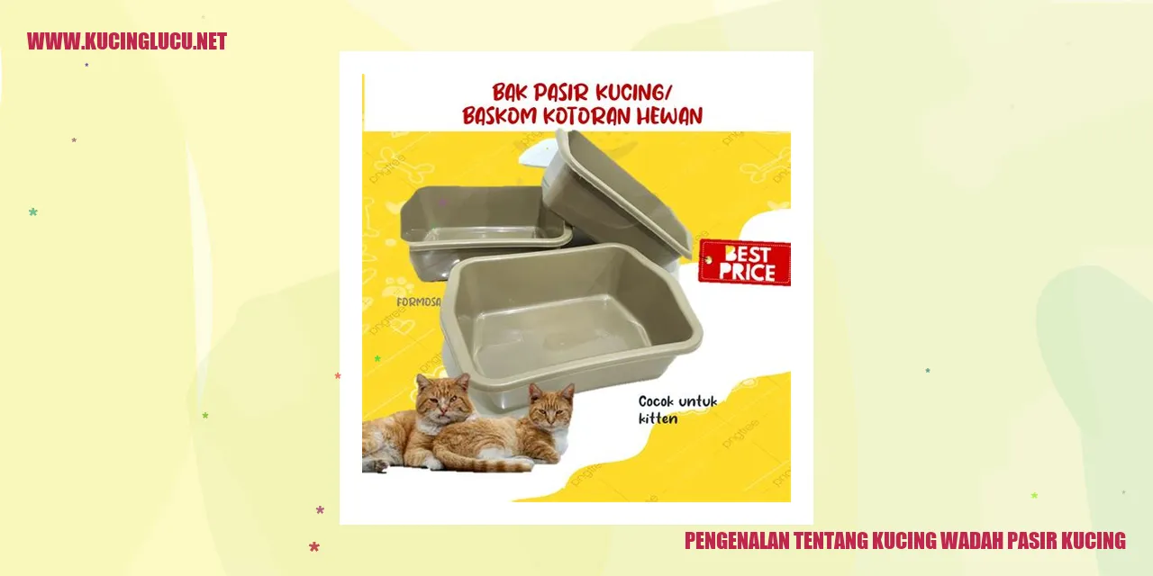 Kucing menggunakan wadah pasir