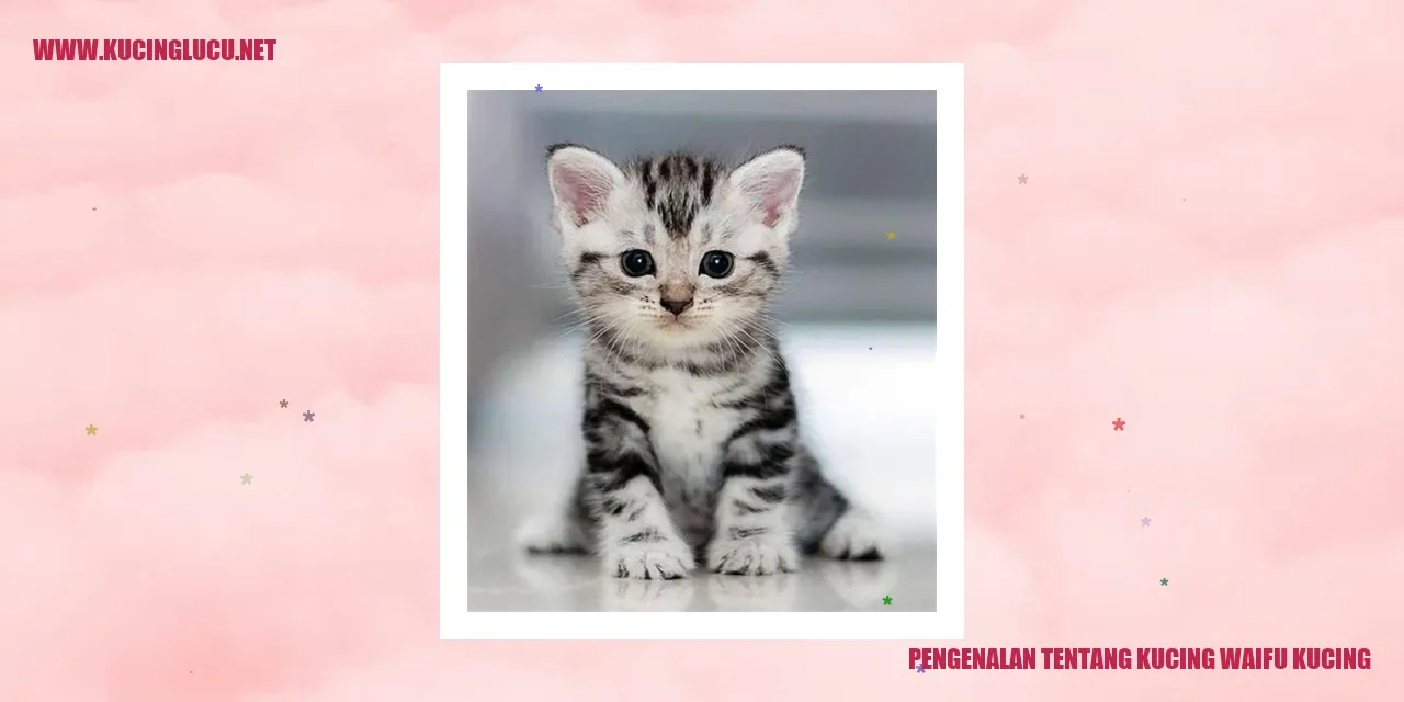 Gambar Kucing Waifu Kucing