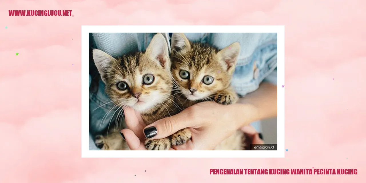 Kucing Wanita Pecinta Kucing