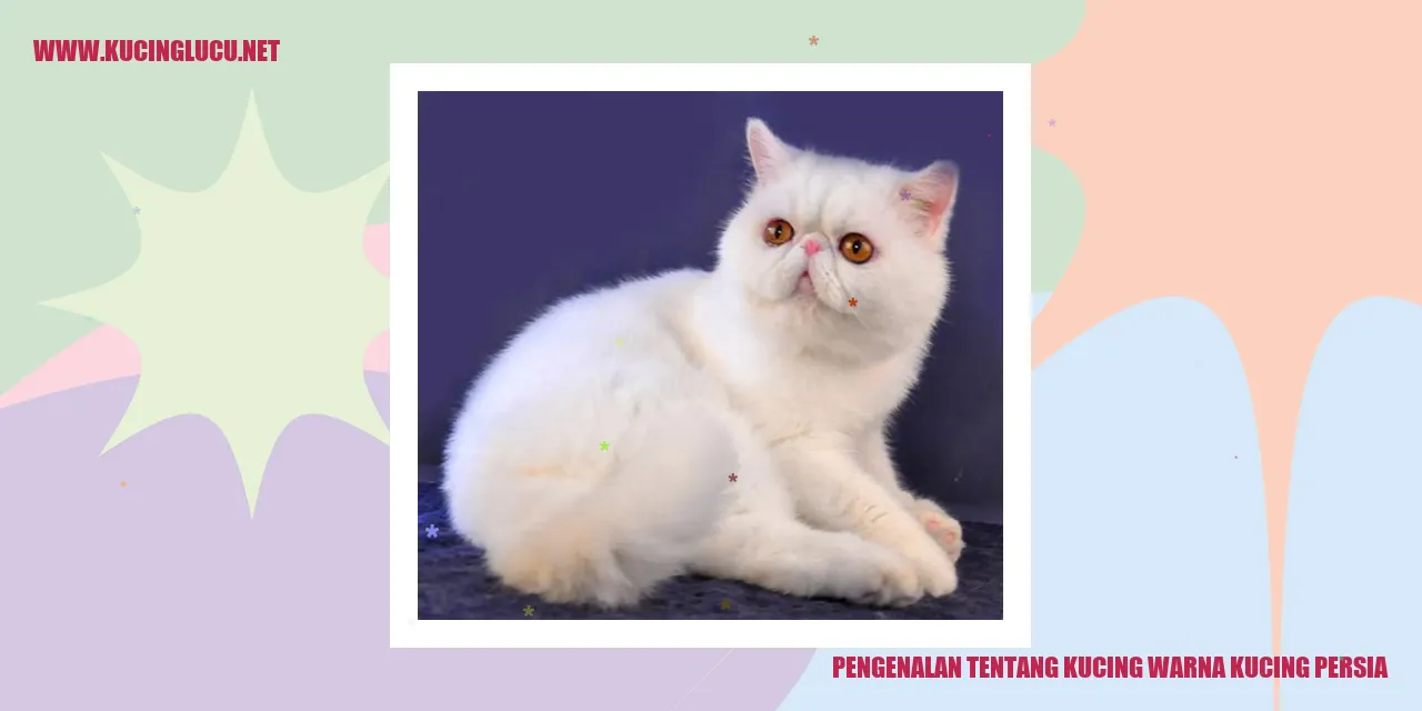 Kucing warna kucing persia
