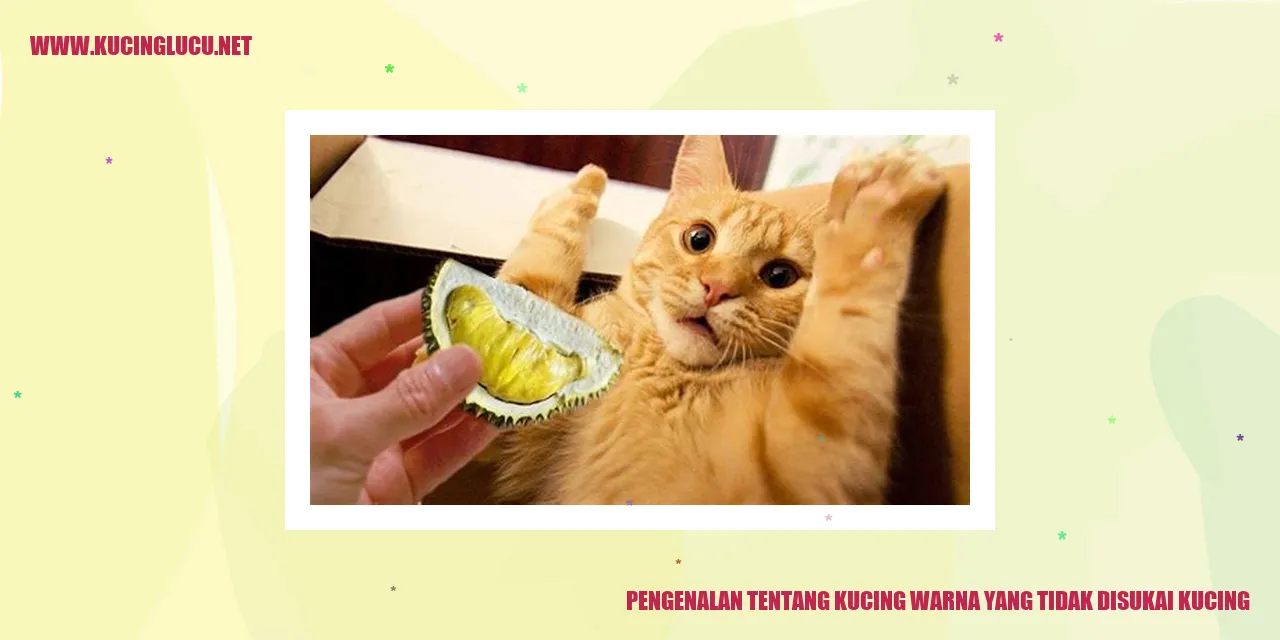 Gambar Kucing