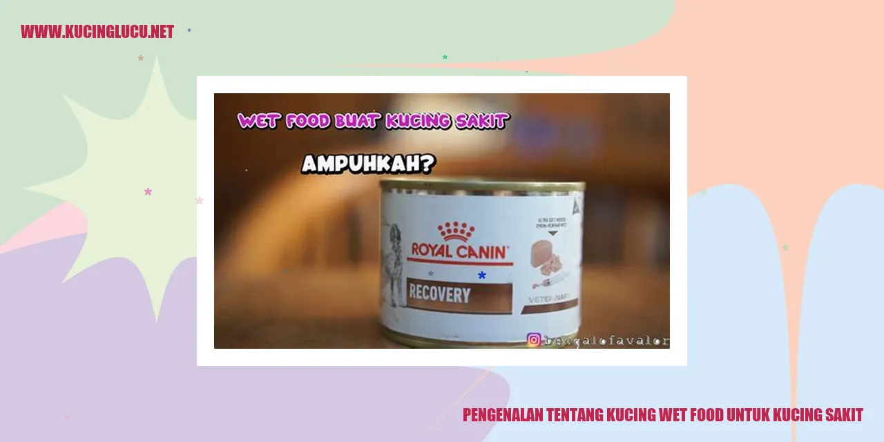 Gambar Makanan Basah untuk Kucing