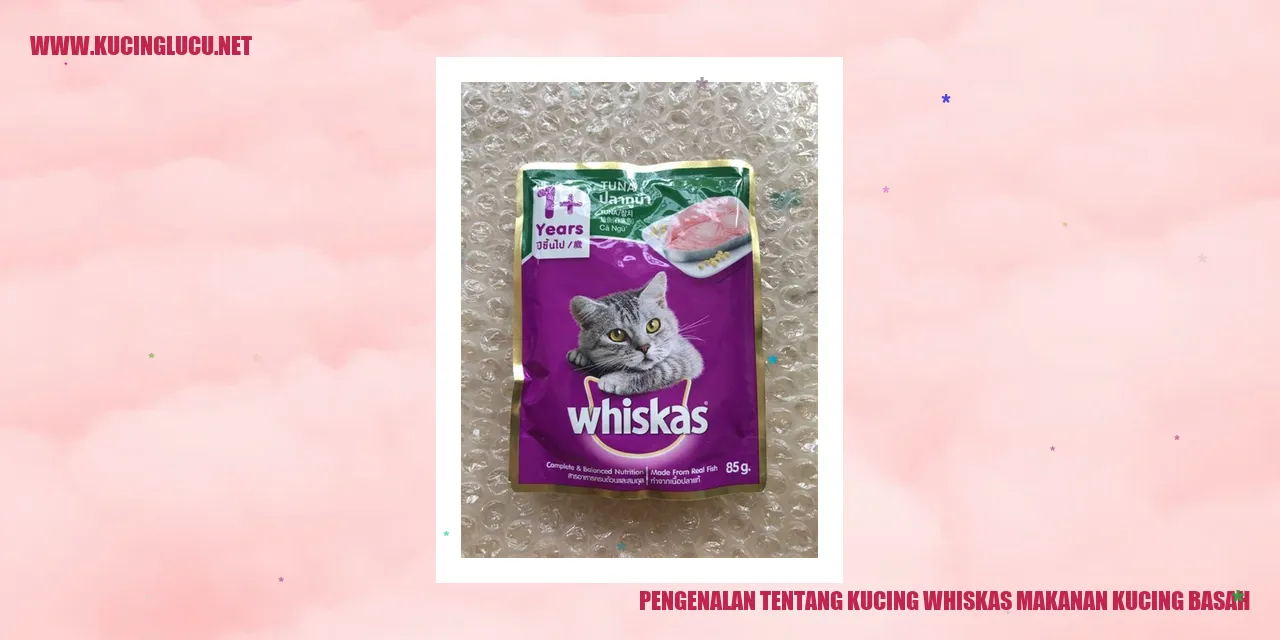 Gambar Kucing Whiskas Makanan Kucing Basah