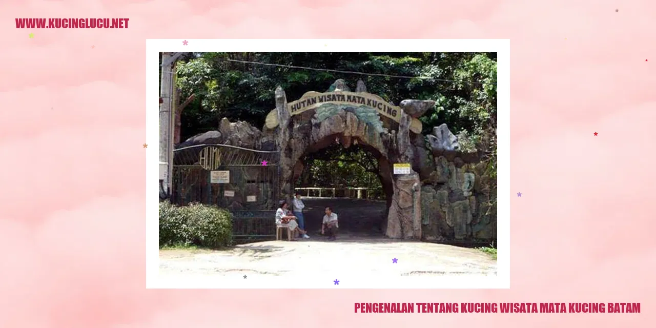 Wisata Mata Kucing Batam