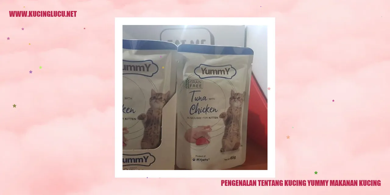 Menggoda sensasi makanan kucing