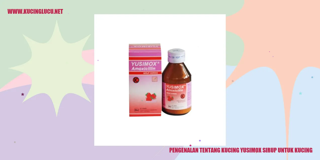 Kucing Yusimox Sirup