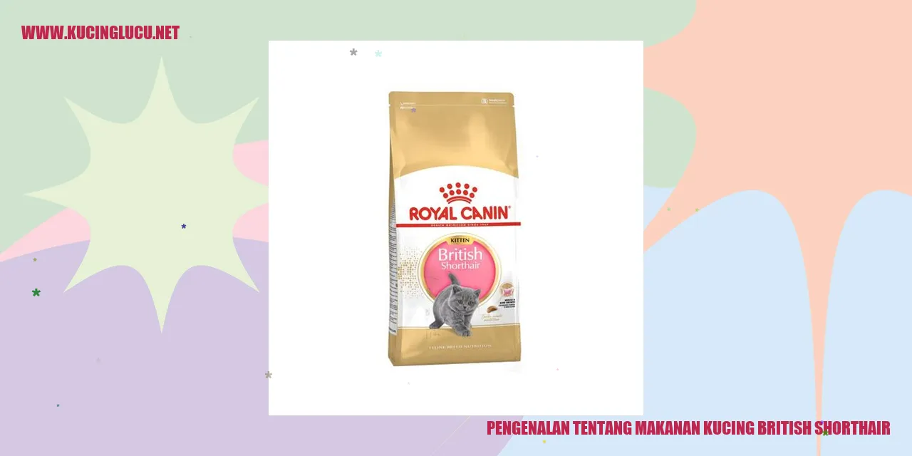 Kucing British Shorthair