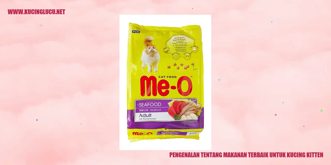 Makanan terbaik untuk Kucing Kitten