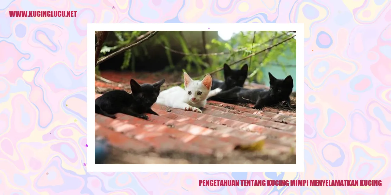 Kucing mimpi menyelamatkan kucing