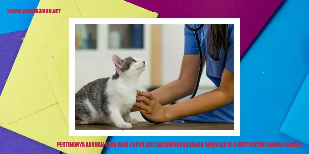 Gambar Kucing