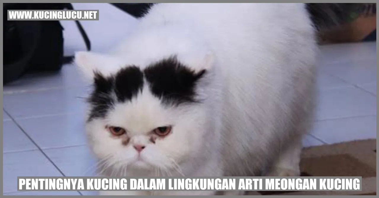 Gambar kucing bersama bayi