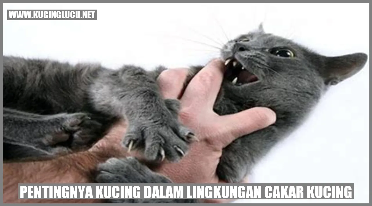 Kucing Mengasah Cakarnya