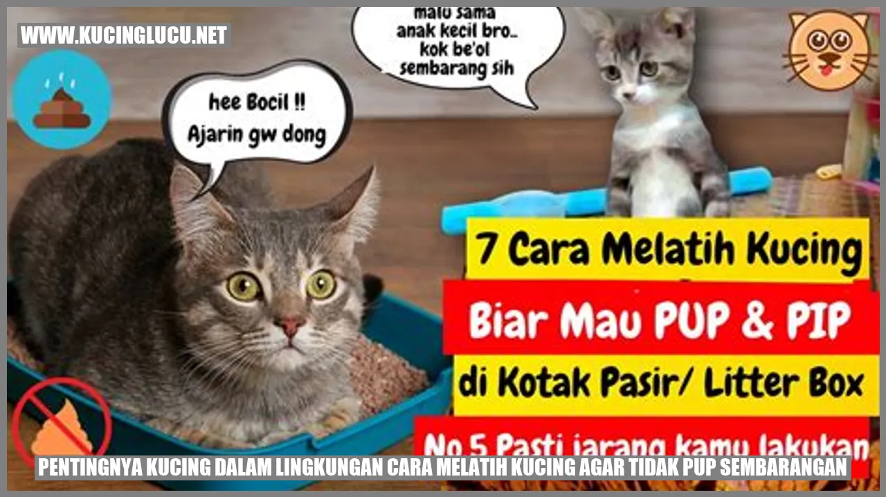 Gambar Kucing