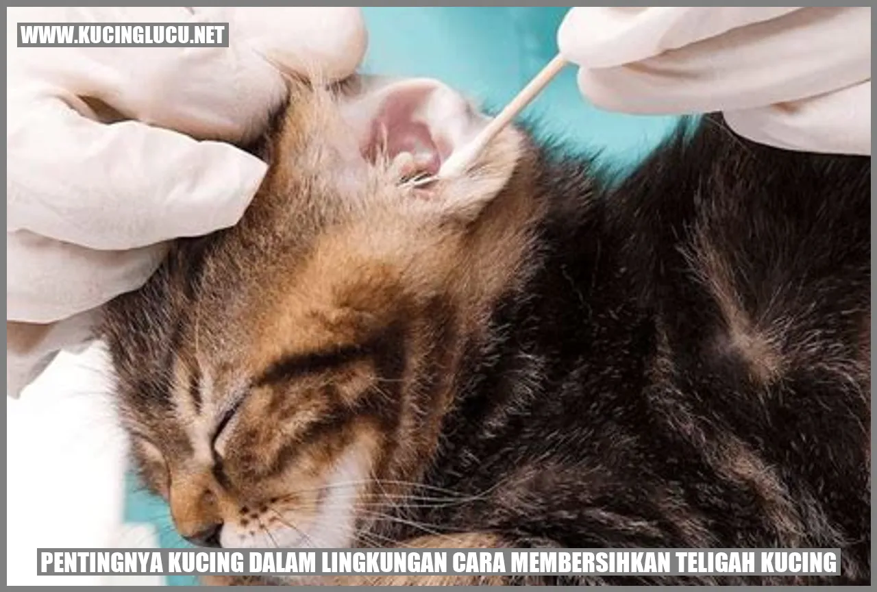 Foto kucing di lingkungan