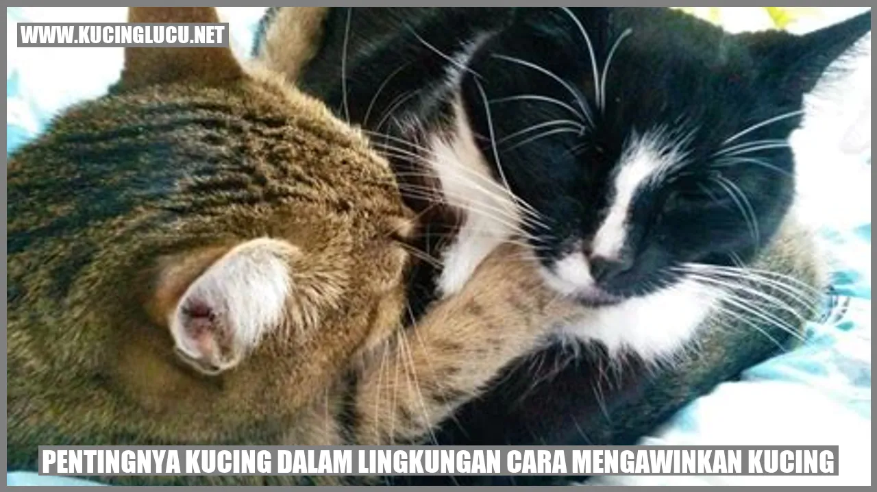 Pentingnya Kucing dalam Ekosistem