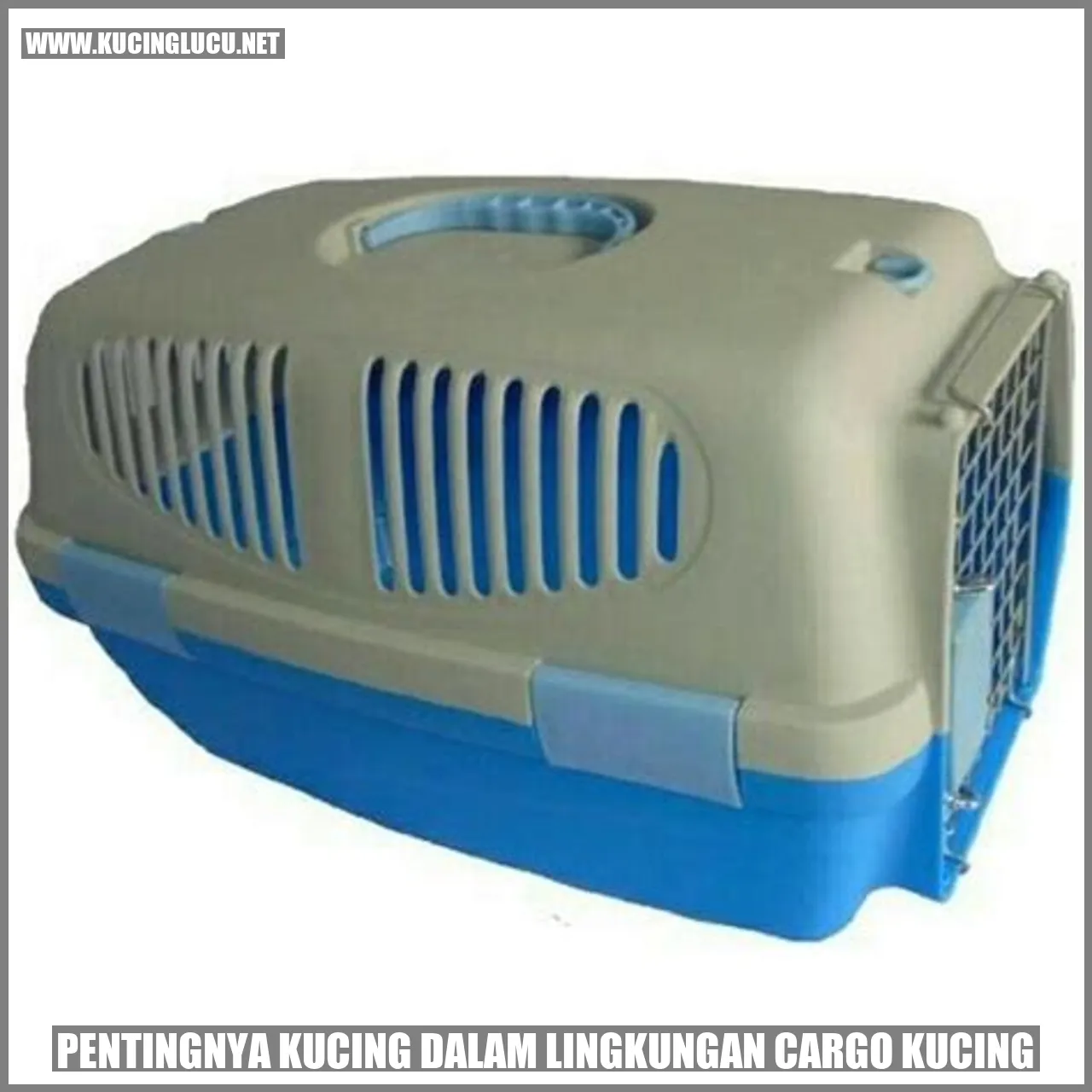 Kucing di dalam lingkungan cargo