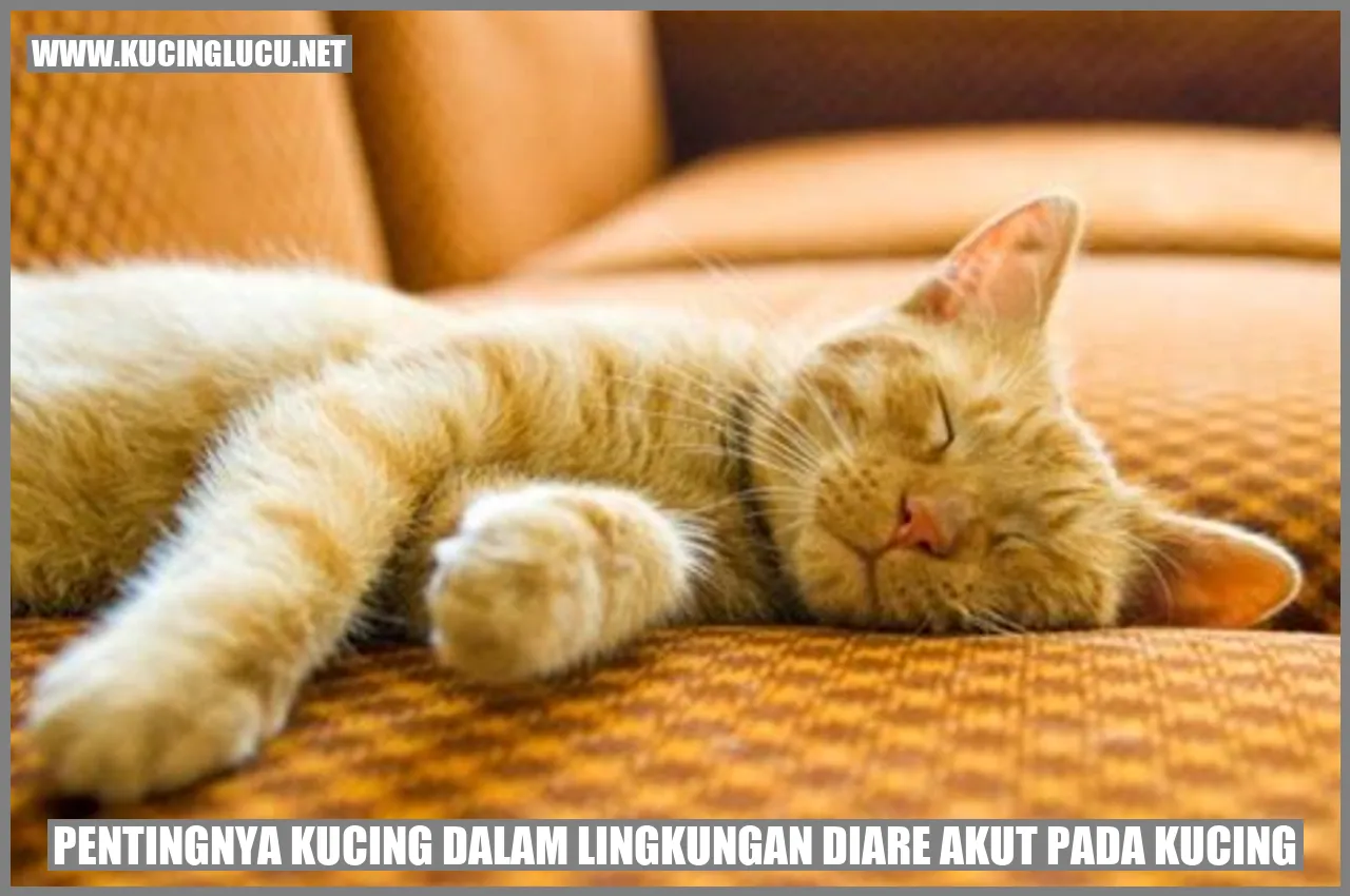 Kesehatan Kucing