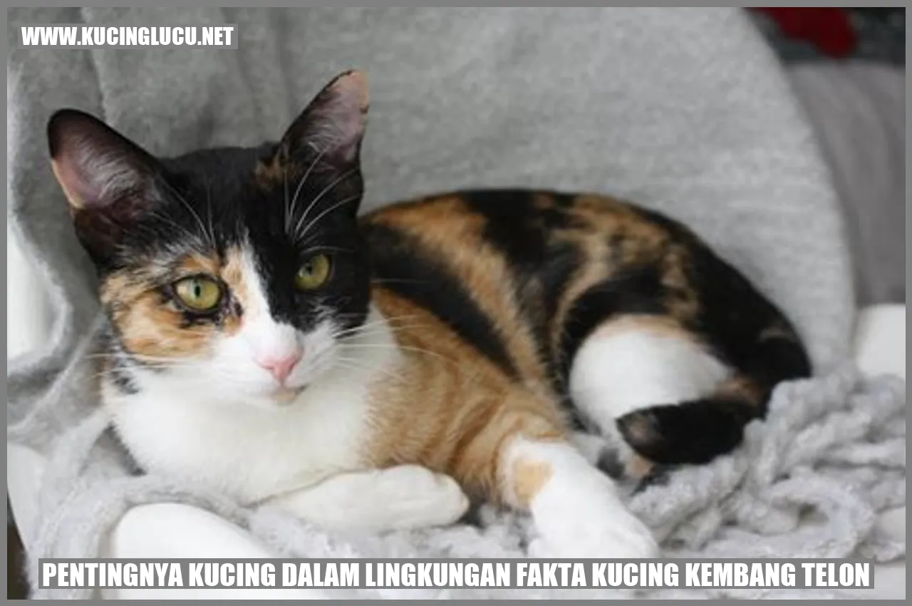 Pentingnya Kucing dalam Lingkungan