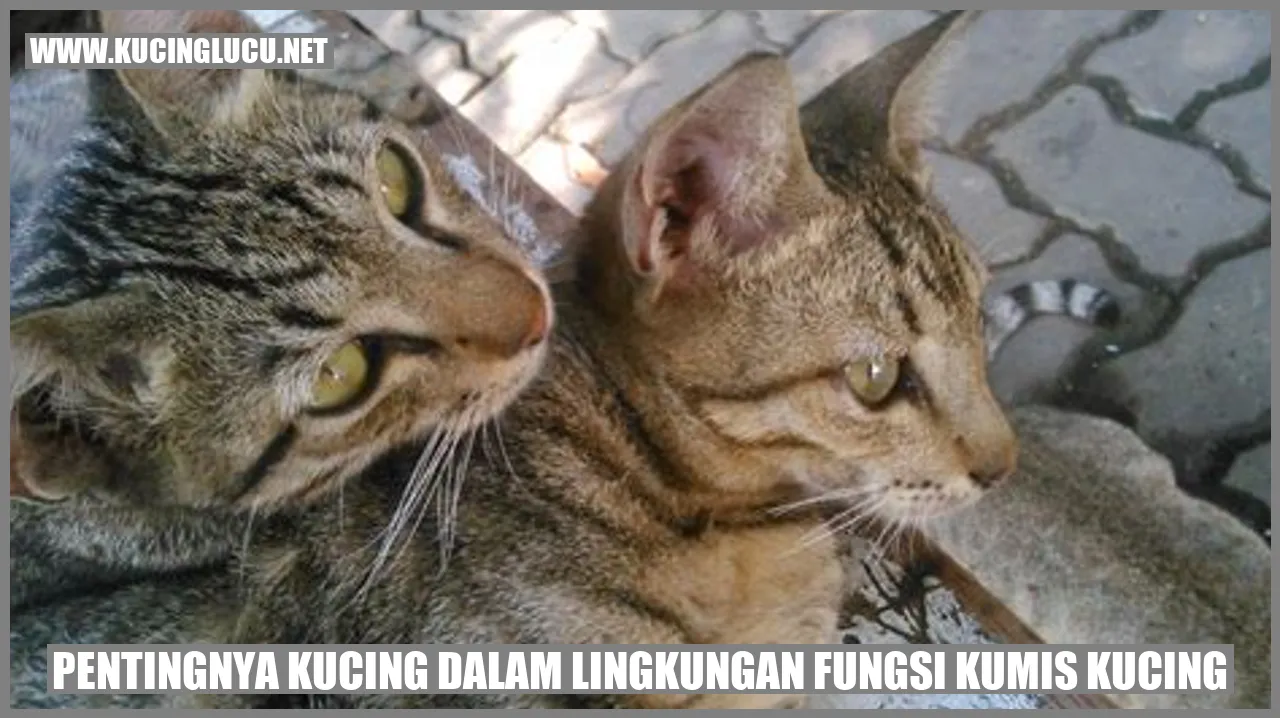 Manfaat Kucing dalam Lingkungan