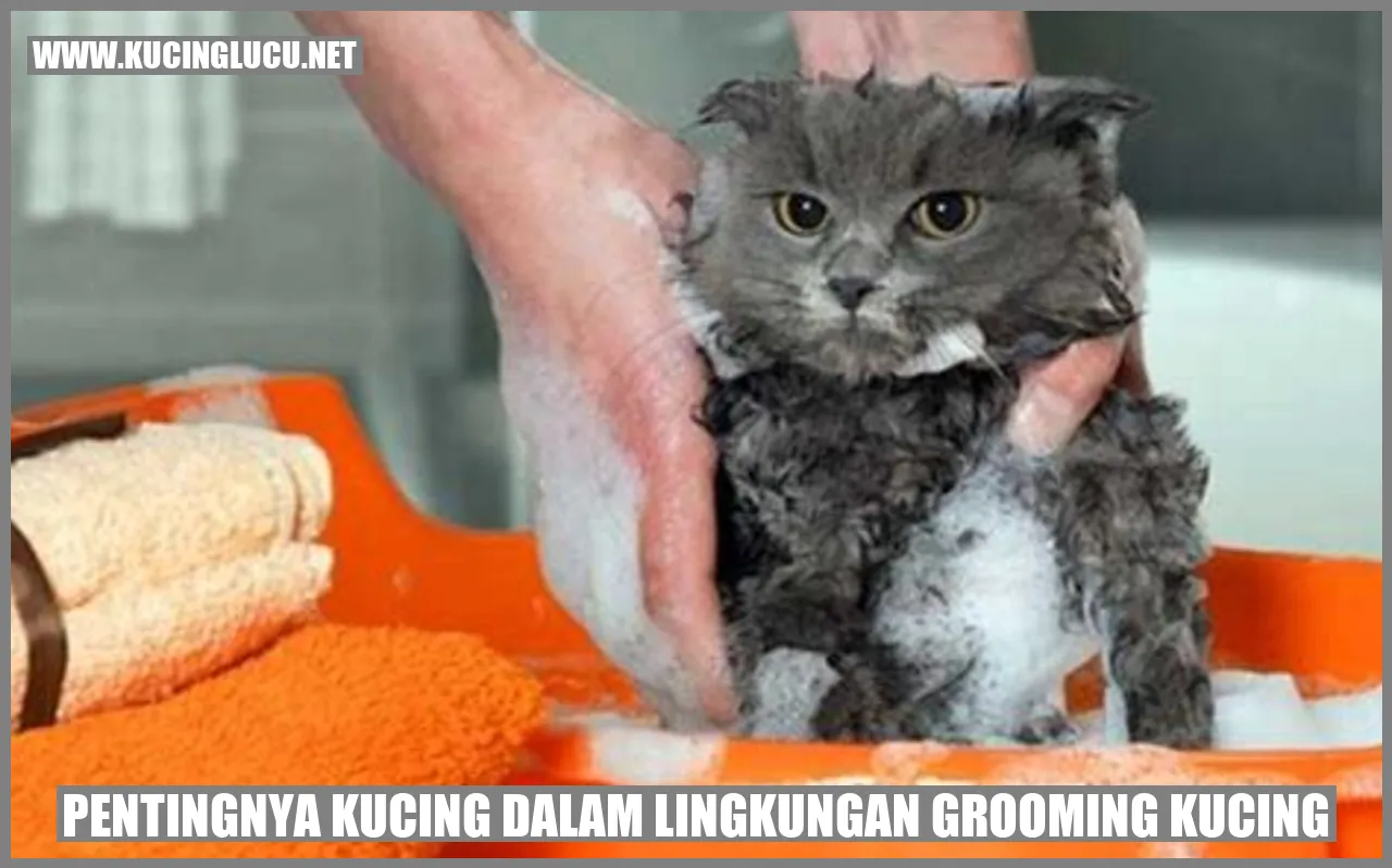 Pentingnya Kucing dalam Lingkungan grooming kucing