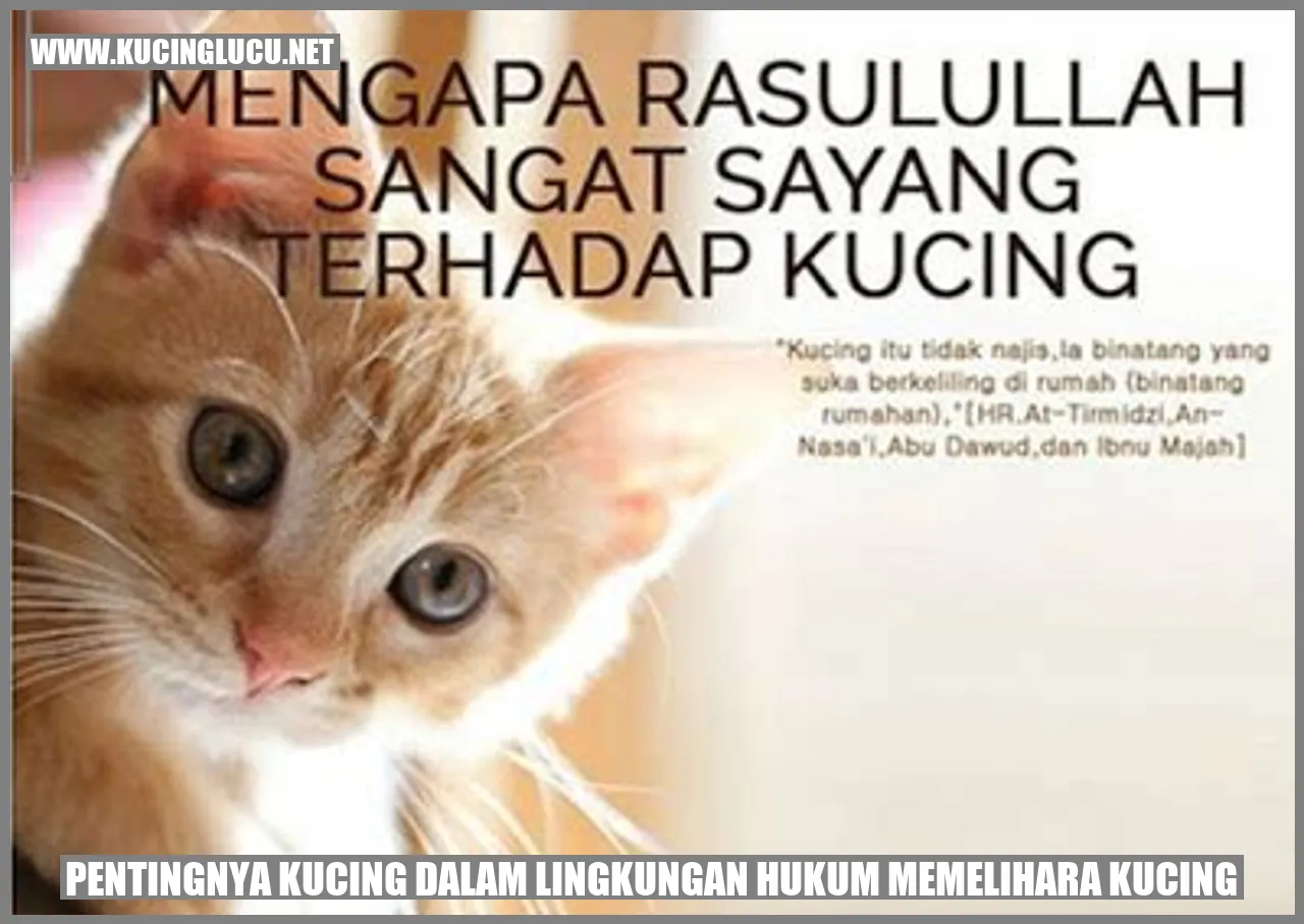 Kucing di lingkungan hukum memelihara kucing