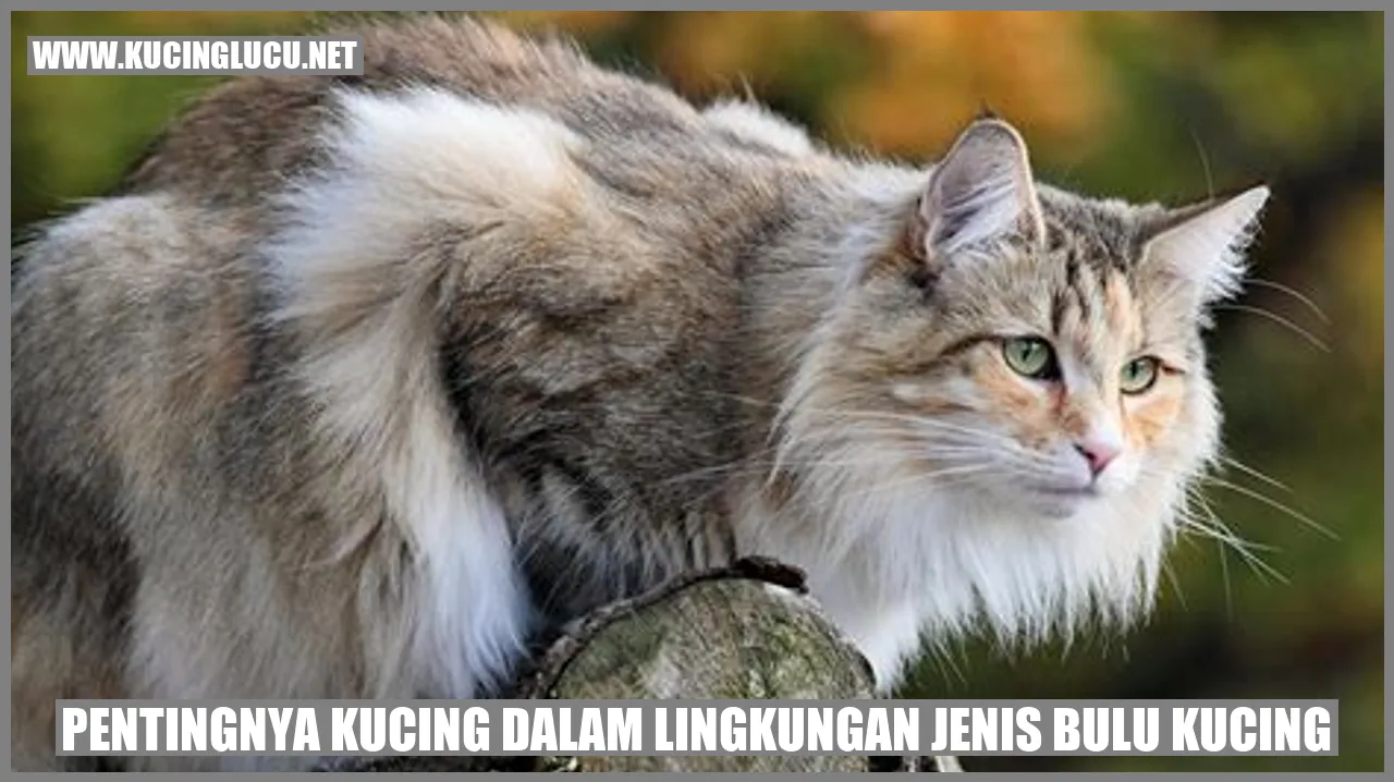 Foto Kucing