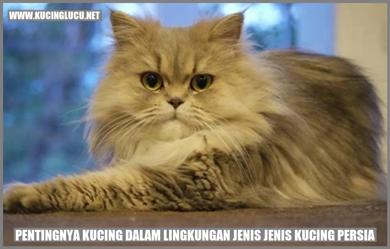 Kucing Persia