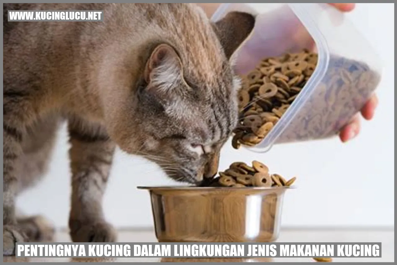 Gambar kucing makan