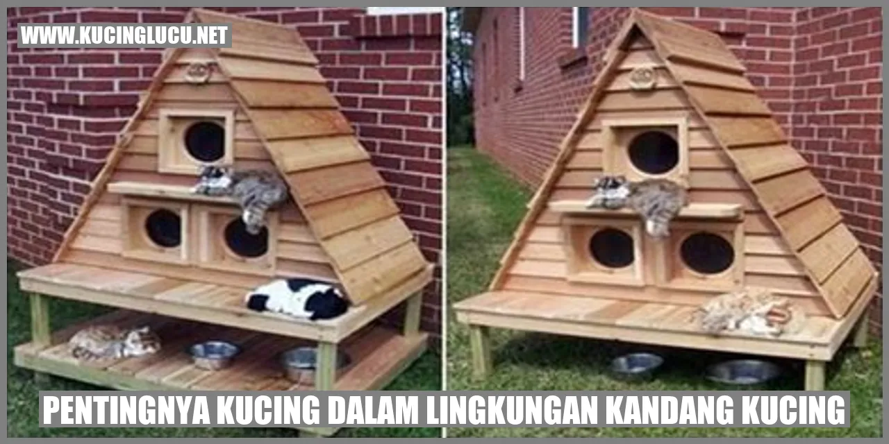 Ilustrasi kucing bersantai di kandang