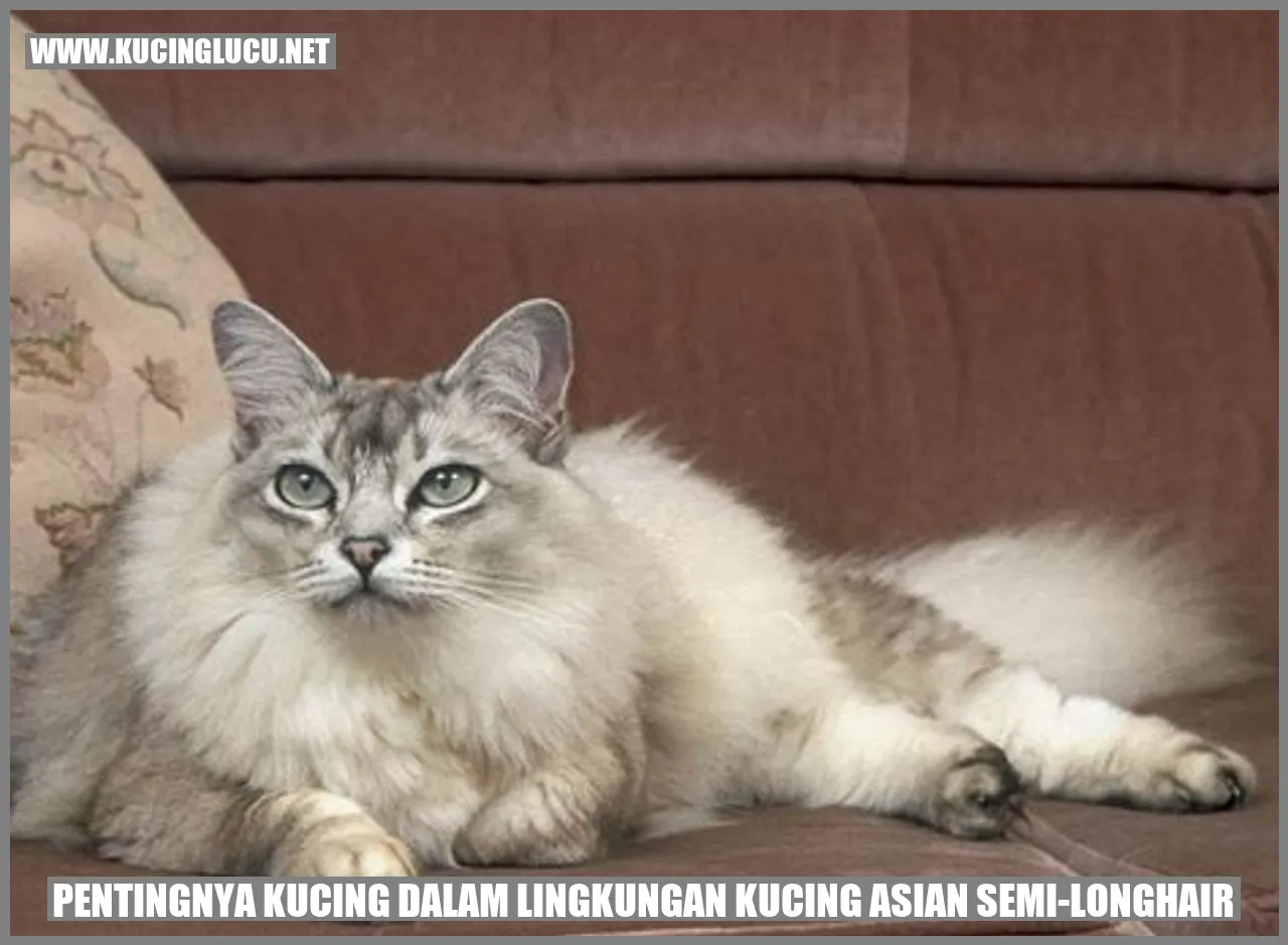 Pentingnya Kucing dalam Lingkungan Kucing Asian Semi-Longhair