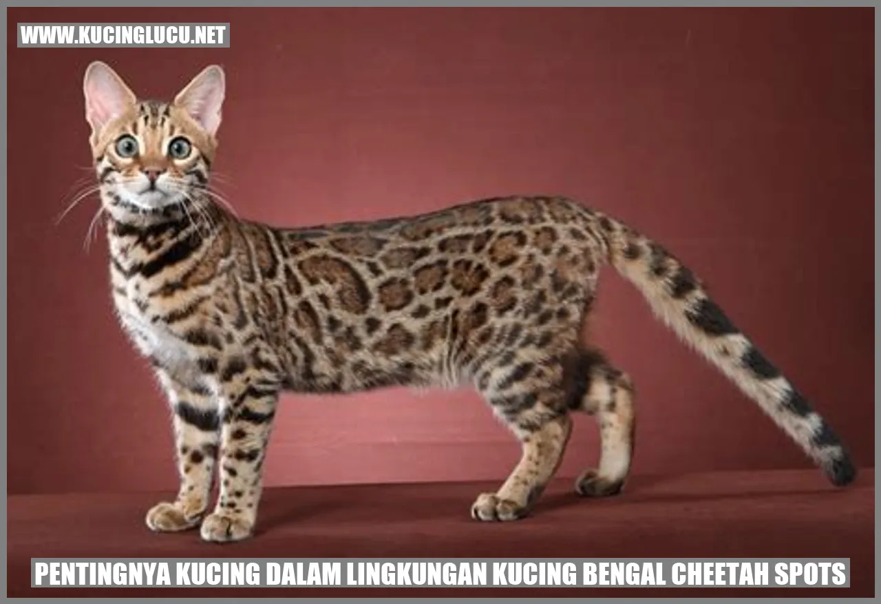 Ilustrasi Kucing Bengal Cheetah Spots