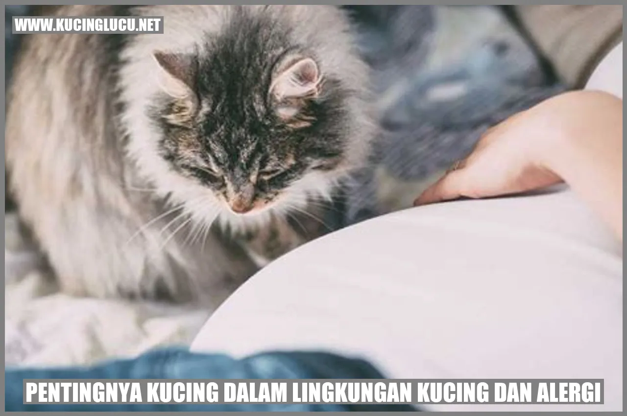 Kucing di Lingkungan Kucing dan Alergi