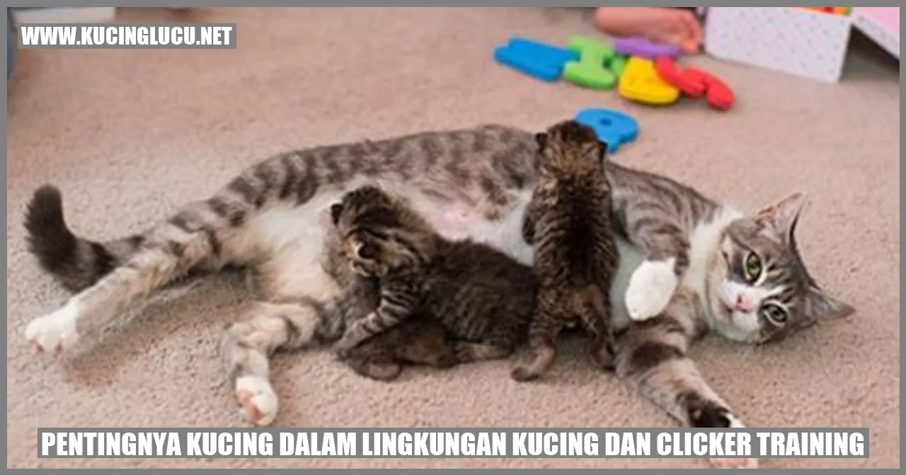 Pentingnya Kucing dalam Lingkungan Kucing dan Clicker Training
