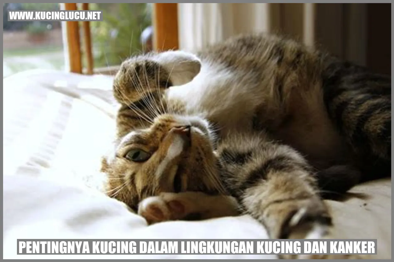 Gambar Kucing