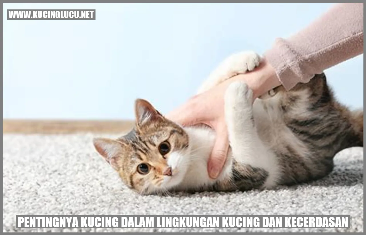 Kucing yang Mengamati Lingkungan