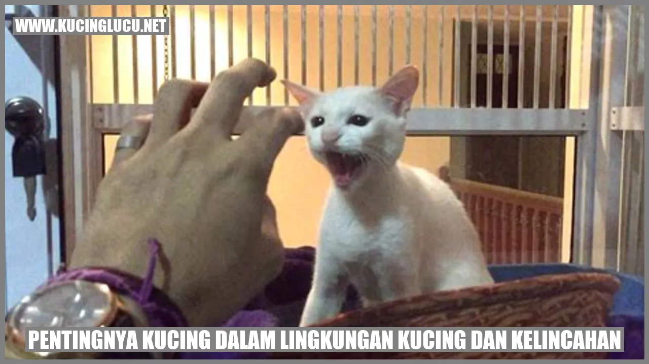Kucing dan Perannya dalam Lingkungan dan Kelincahan