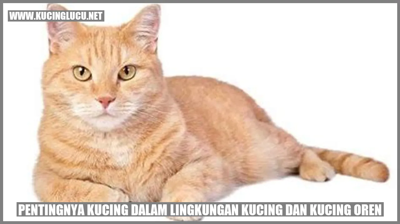 Pentingnya Kucing dalam Lingkungan Kucing dan Kucing Oren