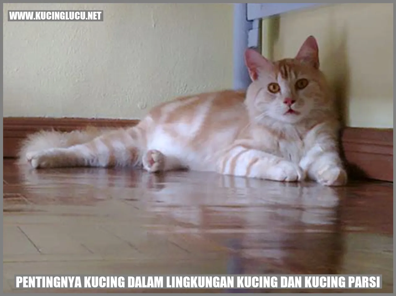 Pentingnya Kucing dalam Lingkungan Kucing dan kucing parsi