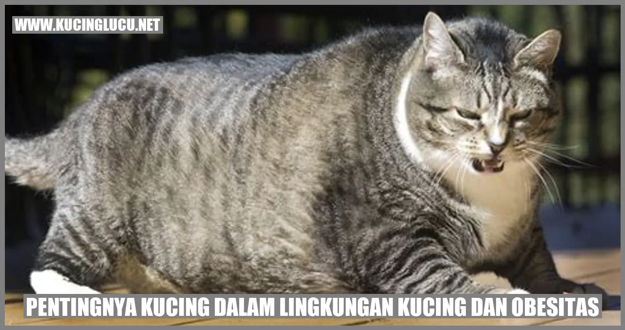Kucing yang Sehat dan Aktif