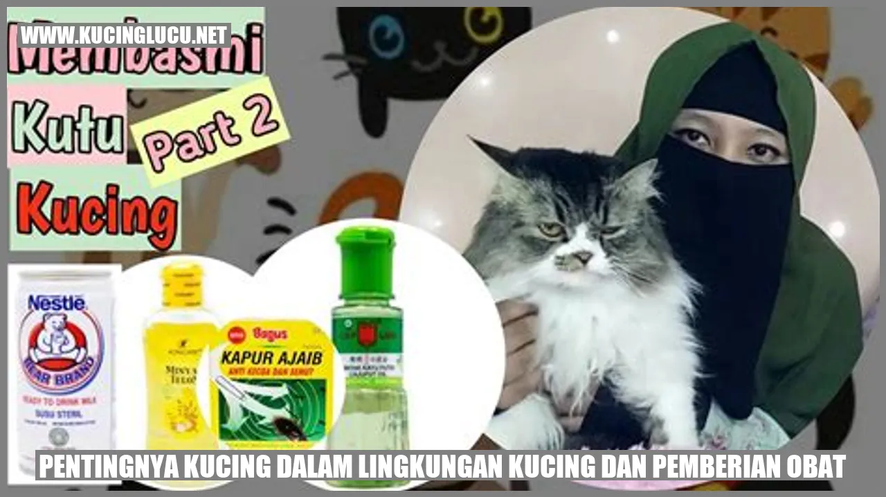 Kucing di lingkungan kucing dan pemberian obat