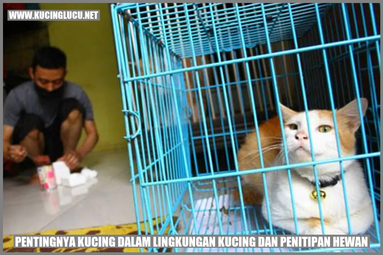 Manfaat Kucing dalam Lingkungan Kucing dan penitipan hewan