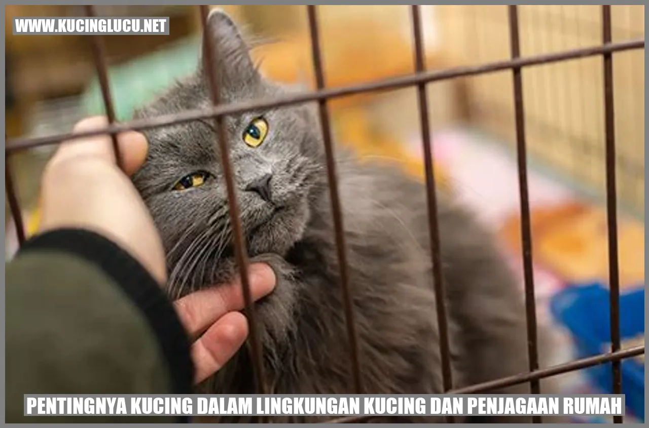 Gambar Kucing dalam Lingkungan Kucing dan Penjagaan Rumah