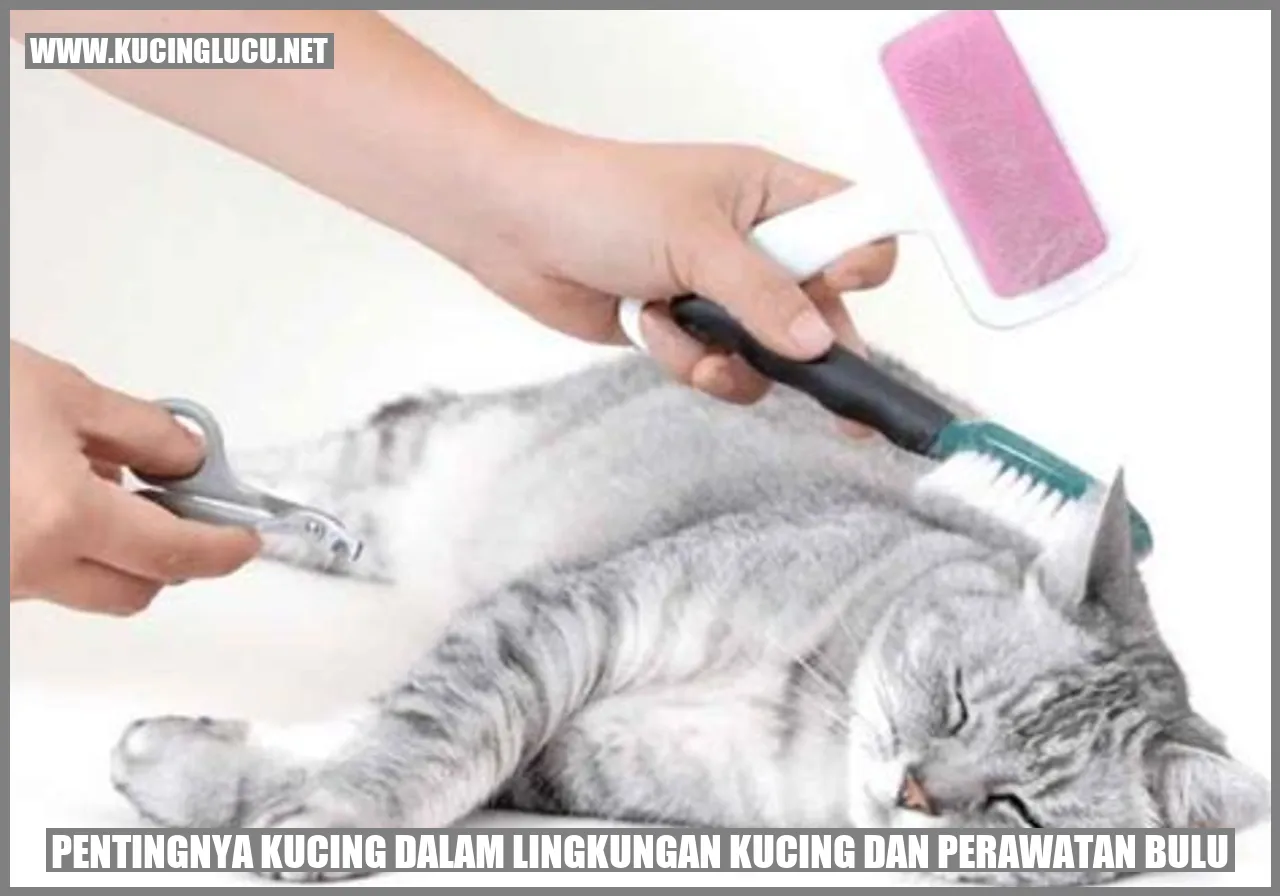 Gambar kucing