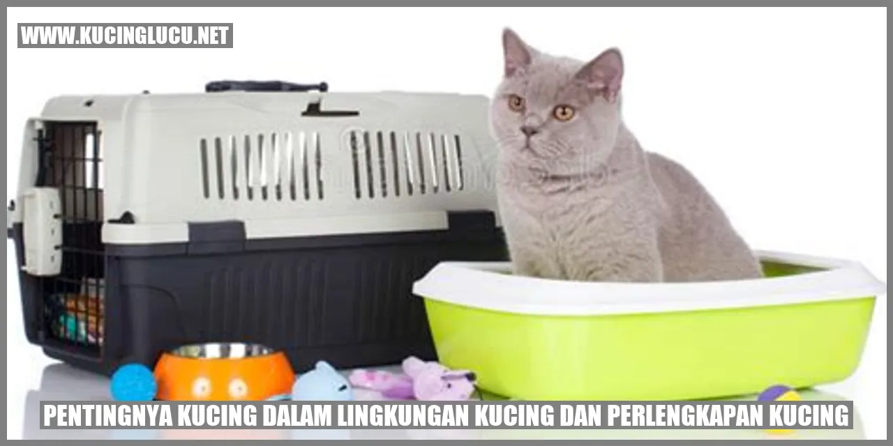 Ilustrasi kucing