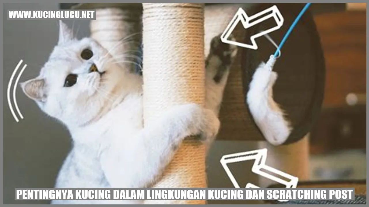 Gambar kucing yang sedang menggunakan scratching post