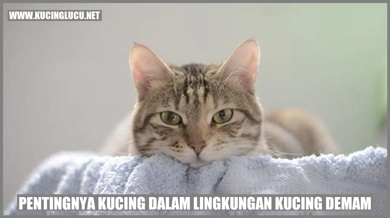 Kucing dalam Lingkungan Kucing Demam