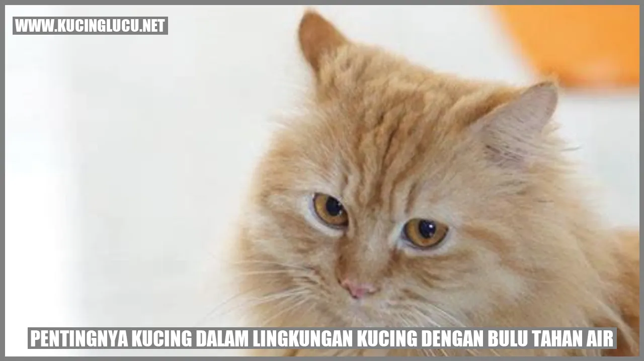 Gambar Kucing dengan Bulu Tahan Air