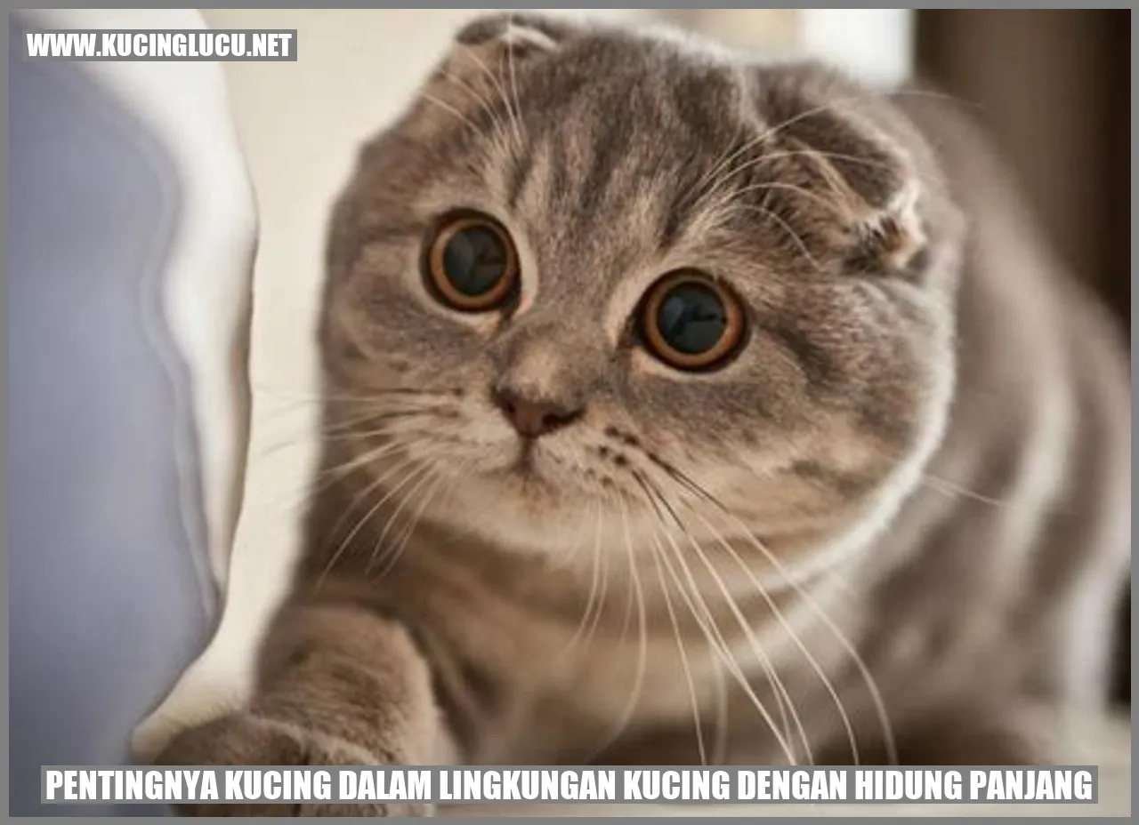 Gambar Kucing yang Menggemaskan