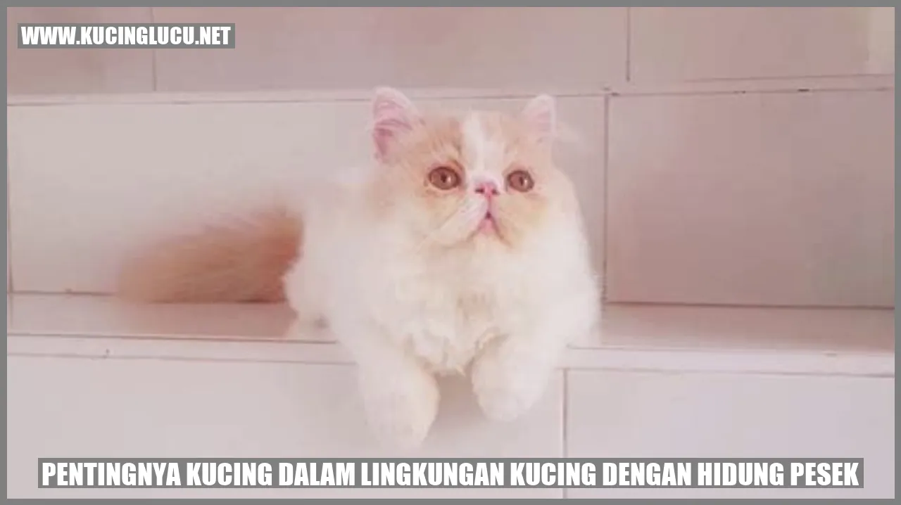 Kucing dengan Hidung Pesek
