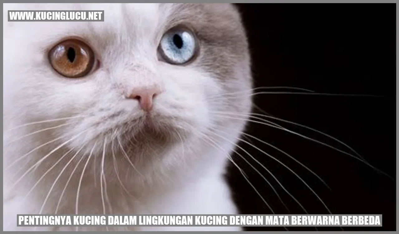 Kucing dengan Mata Berwarna Berbeda